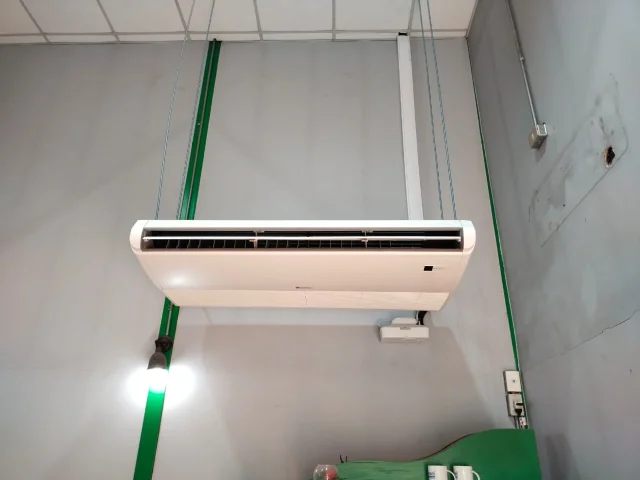 media-1777292272466