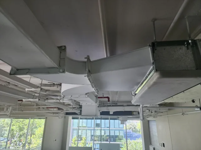 media-1777292273255